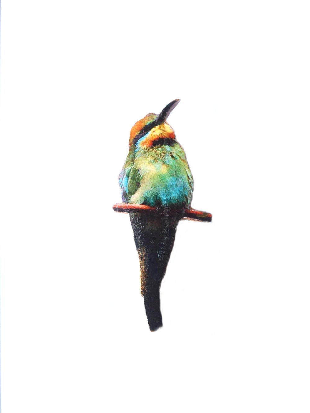 Bird Brooch, Tweet Tweet Wooden Bird Brooch, Bird Jewelry, Coloured Bird, Handmade Brooch